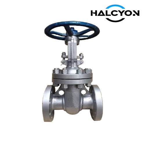 Class 300 WCB Gate Valve